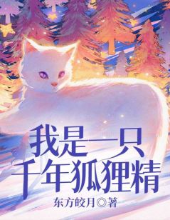 《我是一只千年狐狸精》小说全文精彩阅读 宋清欢陆谨轩小说全文